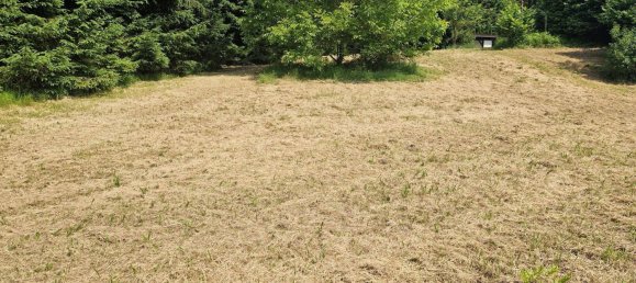  Land in Hitzendorf, Austria No. 142143 4