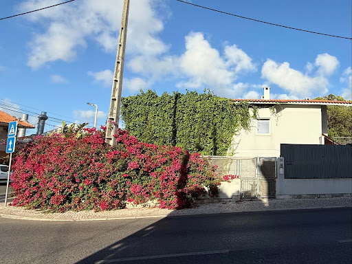 Вилла с 4 спальнями в Кашкайш, Португалия № 326446