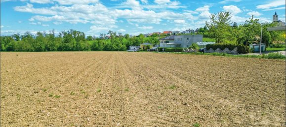 Terrain à Hargelsberg, Austria No. 131619 4