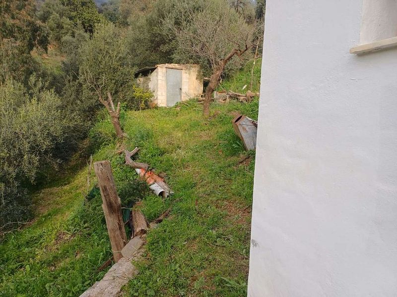 Terreno em Malaga, Spain 55000 m² N.º 219631