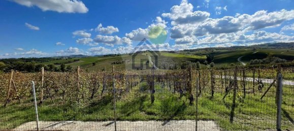 3 غرف نوم فيلا في Ziano Piacentino, Italy رقم 122262 12