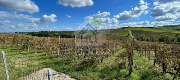 3 غرف نوم فيلا في Ziano Piacentino, Italy رقم 122262 24