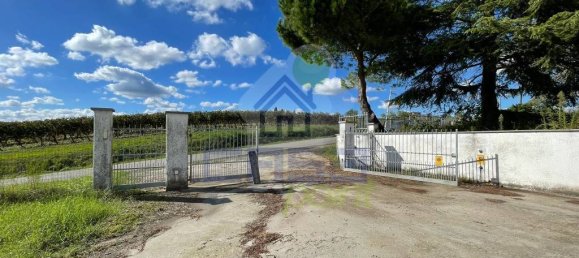 3 غرف نوم فيلا في Ziano Piacentino, Italy رقم 122262 25