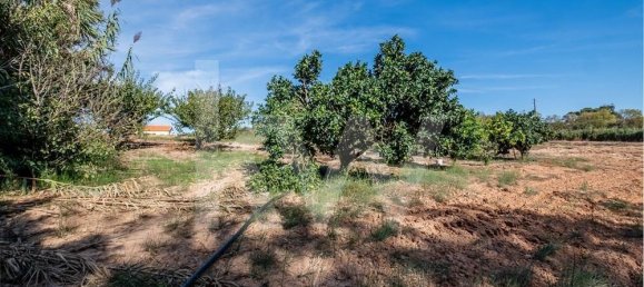 3 bedrooms House in Torres Vedras, Portugal No. 63994 19