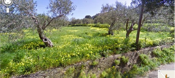 10 rooms House in Messina, Italy No. 170346 4