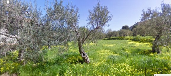 10 rooms House in Messina, Italy No. 170346 3