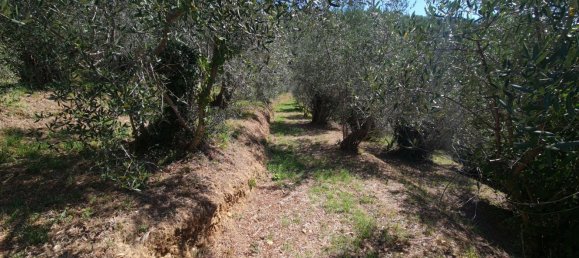 5غرفة فيلا في Camaiore, Italy رقم 261587 18