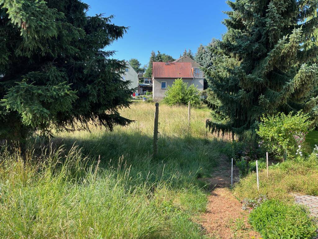  Land in Mittelsachsen, Germany No. 206136