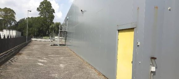 8 rooms Warehouse in Rome, Italy No. 65273 4