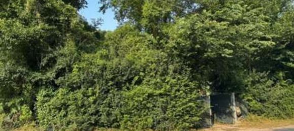 Gewerbliche Immobilie in Castelgomberto, Italy 282m², Nr. 357538 7