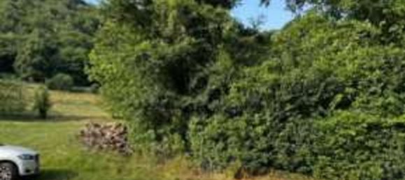 Gewerbliche Immobilie in Castelgomberto, Italy 282m², Nr. 357538 5