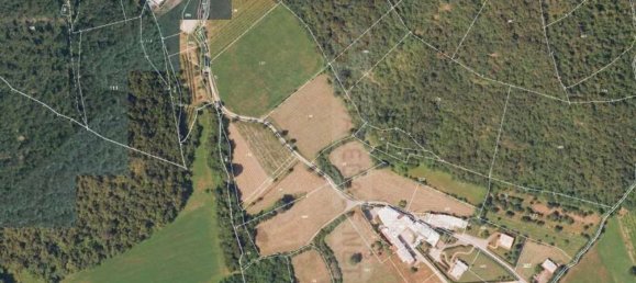 Gewerbliche Immobilie in Castelgomberto, Italy 282m², Nr. 357538 16