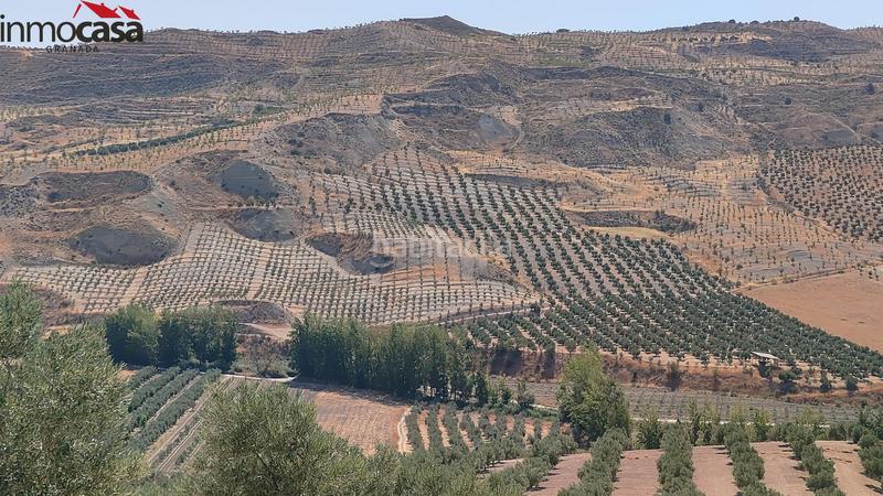 144450m² Land in Granada, Spain No. 201122