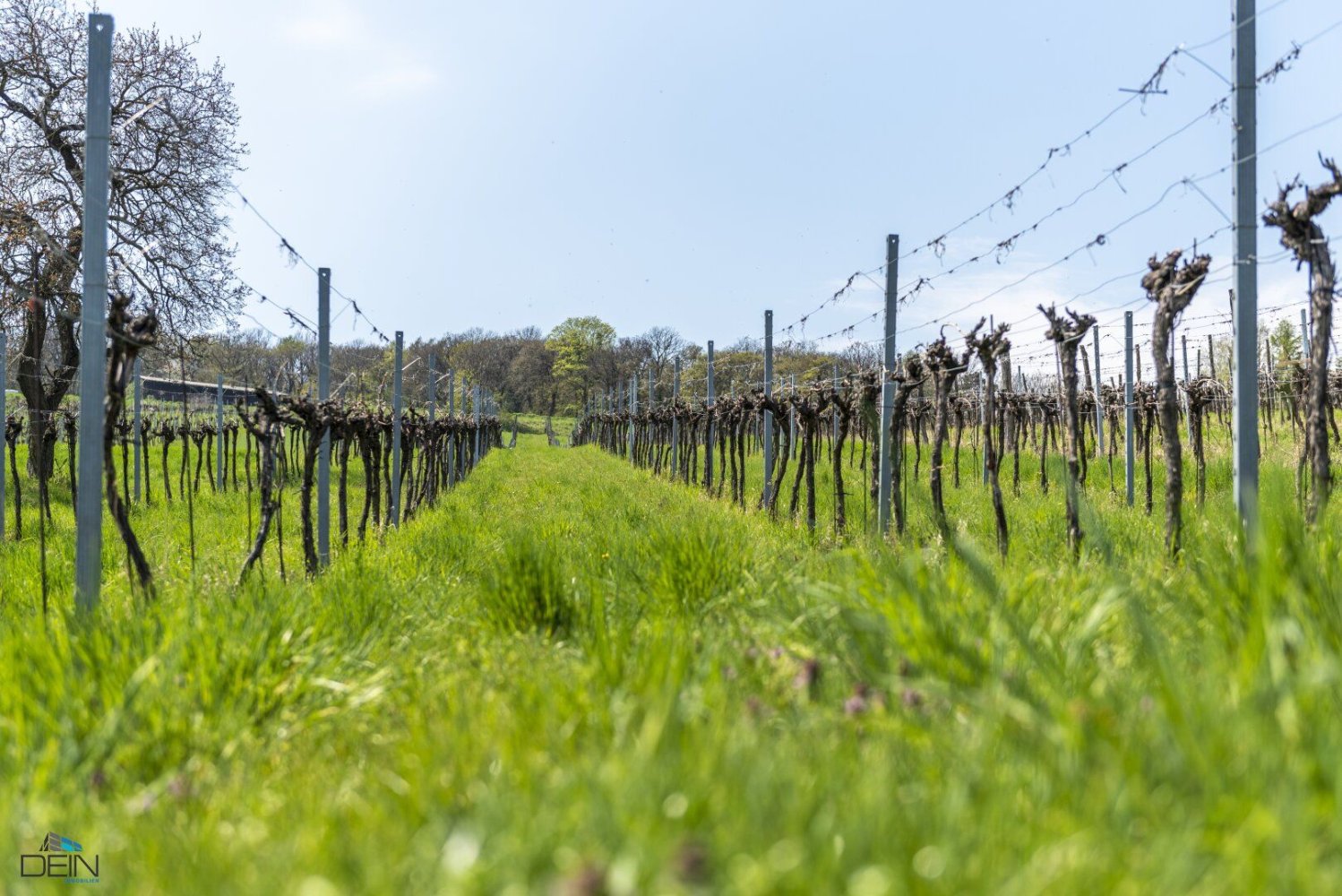 Terreno em Klosterneuburg, Austria 646 m² N.º 128844