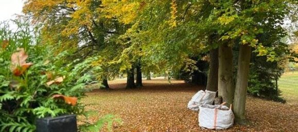 5-Zimmer Haus in Ludwigslust-Parchim, Germany, Nr. 139146 18