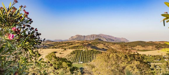 4 bedrooms House in Jimena de la Frontera, Spain No. 183412 43