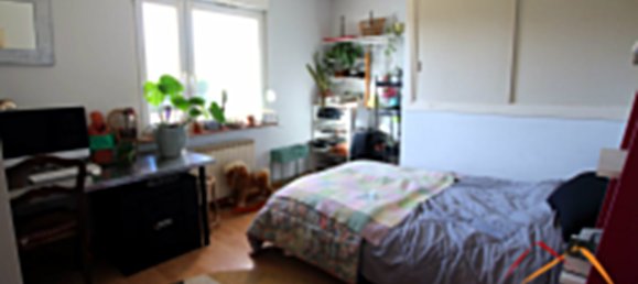 3 bedrooms House in Sarreguemines, France No. 74069 7