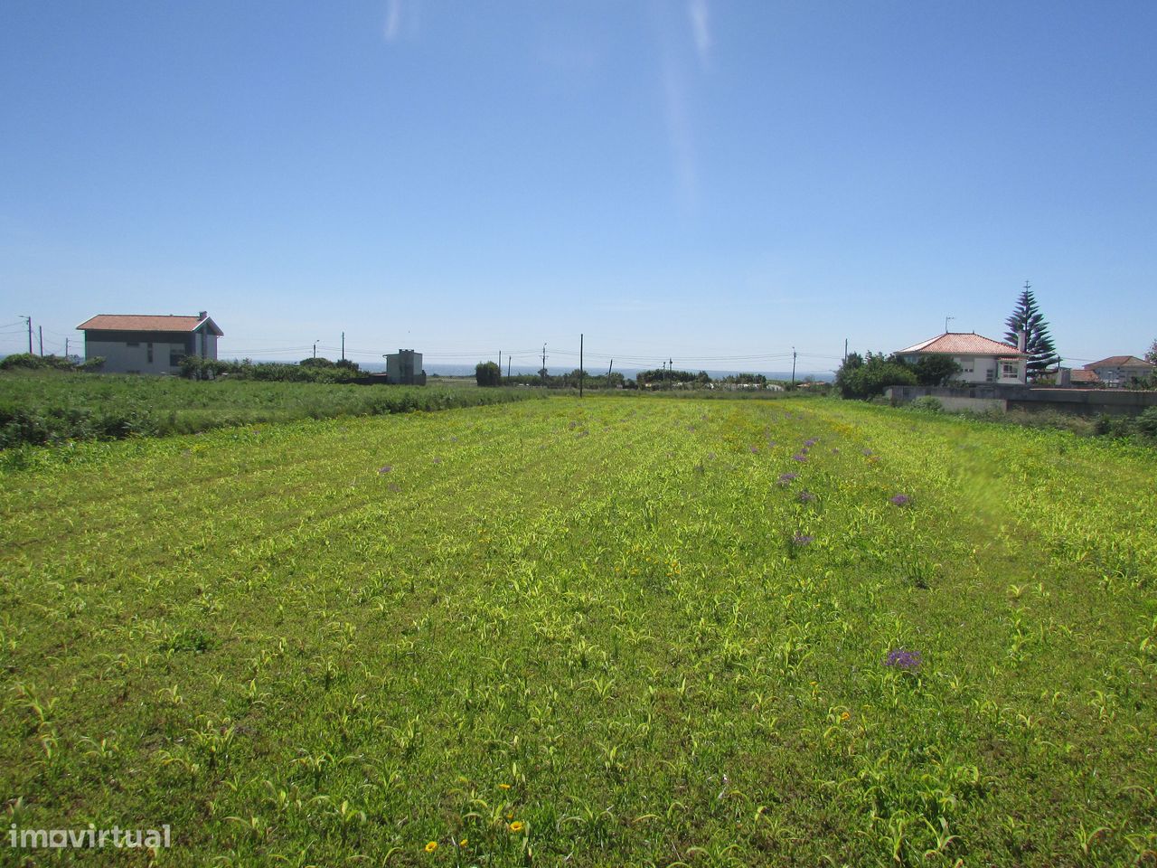 Grundstück in Viana do Castelo, Portugal 2950m², Nr. 224978