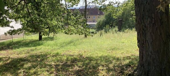 Terrain à Kassel, Germany No. 23372 3