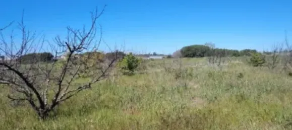 Land in Huelva, Spain No. 138914 11