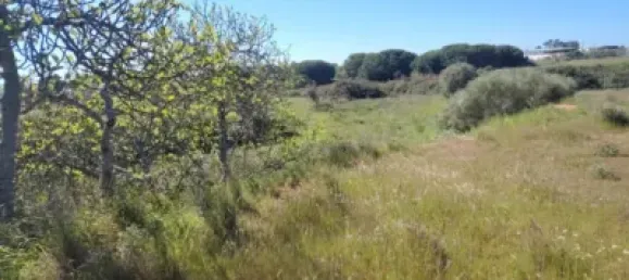 Land in Huelva, Spain No. 138914 9