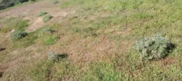 Land in Huelva, Spain No. 138914 13