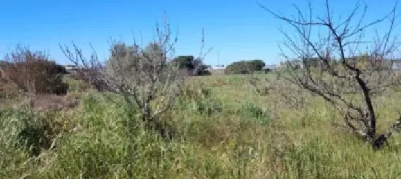 Land in Huelva, Spain No. 138914 14