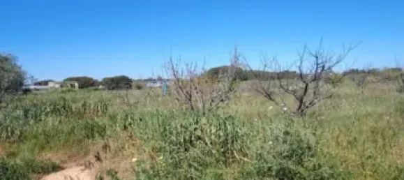 Land in Huelva, Spain No. 138914 12