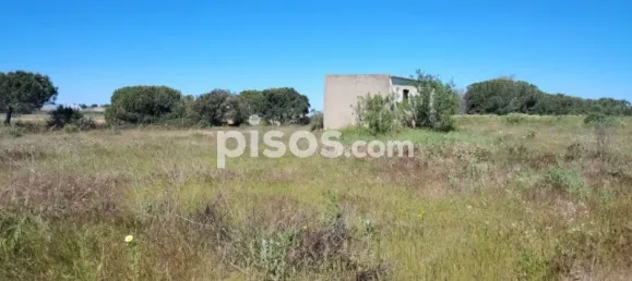 Land in Huelva, Spain No. 138914 16