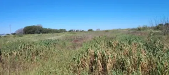 Land in Huelva, Spain No. 138914 8