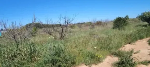 Land in Huelva, Spain No. 138914 17