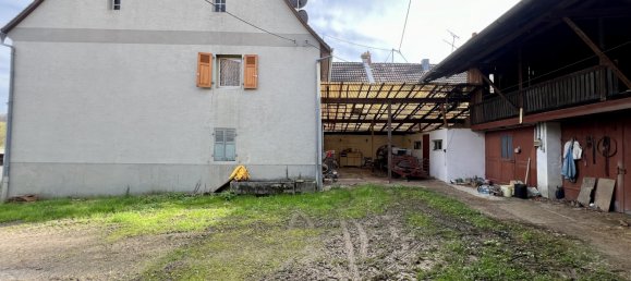 3 bedrooms House in Tagolsheim, France No. 236604 13