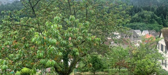 7 rooms House in Breisgau-Hochschwarzwald, Germany No. 32697 11