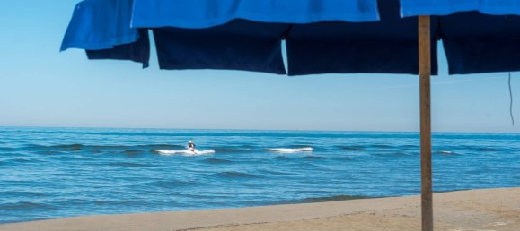 2 bedrooms Villa in Forte dei Marmi, Italy No. 36503 18