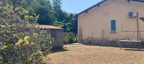 2 bedrooms Villa in Forte dei Marmi, Italy No. 36503 6