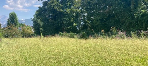 2 bedrooms Villa in Forte dei Marmi, Italy No. 36503 5