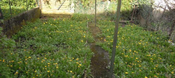 Casa de 1 dormitorio en Revin, France No. 71238 14