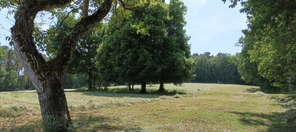 4 غرف نوم قلاع في Perigueux, France رقم 202823 14