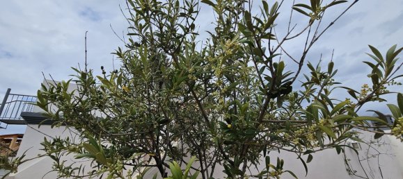 2 Schlafzimmer Penthouse in Estepona, Spain, Nr. 147149 16