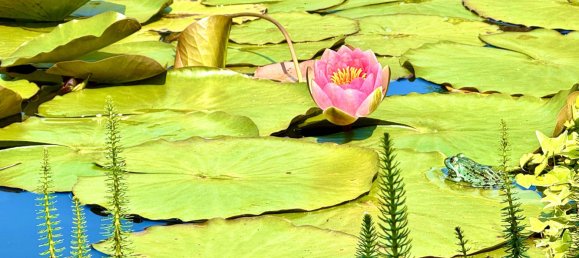 1 غرف نوم منزل في Markisch-Oderland, Germany رقم 320956 11