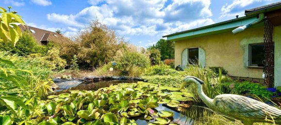 1 غرف نوم منزل في Markisch-Oderland, Germany رقم 320956 10