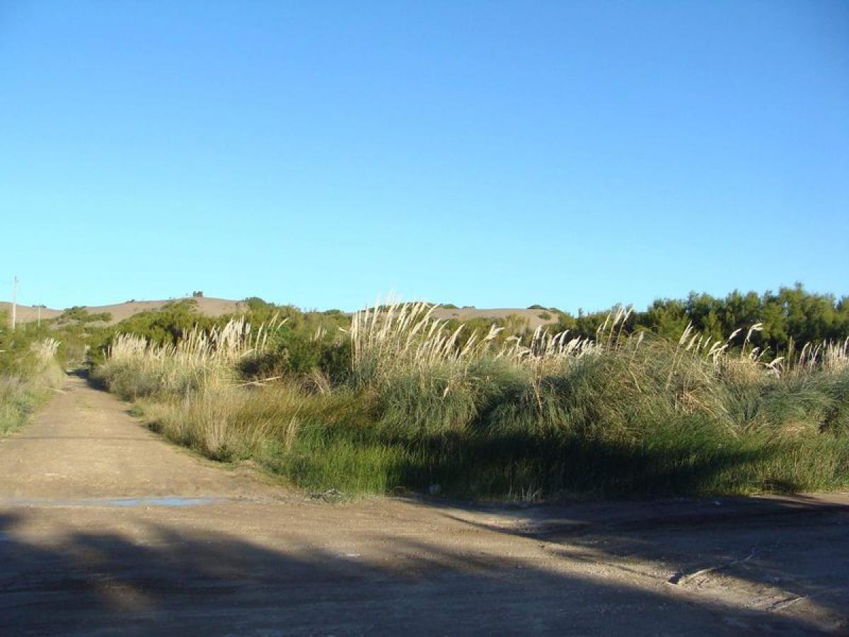 Terrain à Mar del Plata, Argentina No. 117548