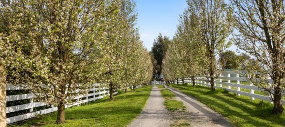 Granja de 3 dormitorios en Mardan, Australia No. 234 26