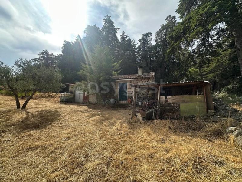 11040m² Land in Torre de Moncorvo, Portugal No. 346549