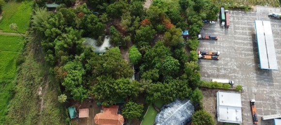  Commercial property in Hua Hin, Thailand No. 8008 3