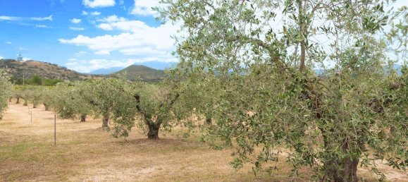 16 rooms House in Orosei, Italy No. 54601 22