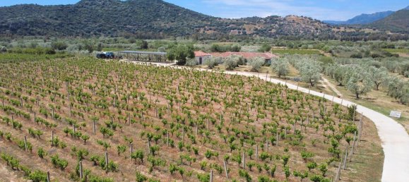 16 rooms House in Orosei, Italy No. 54601 8