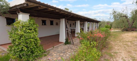 16 rooms House in Orosei, Italy No. 54601 19