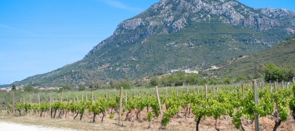 16 rooms House in Orosei, Italy No. 54601 15