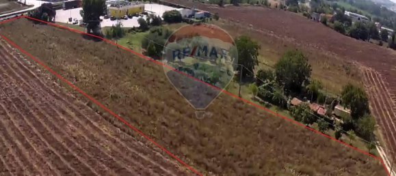 1 room Land in Monte Roberto, Italy No. 7413 3